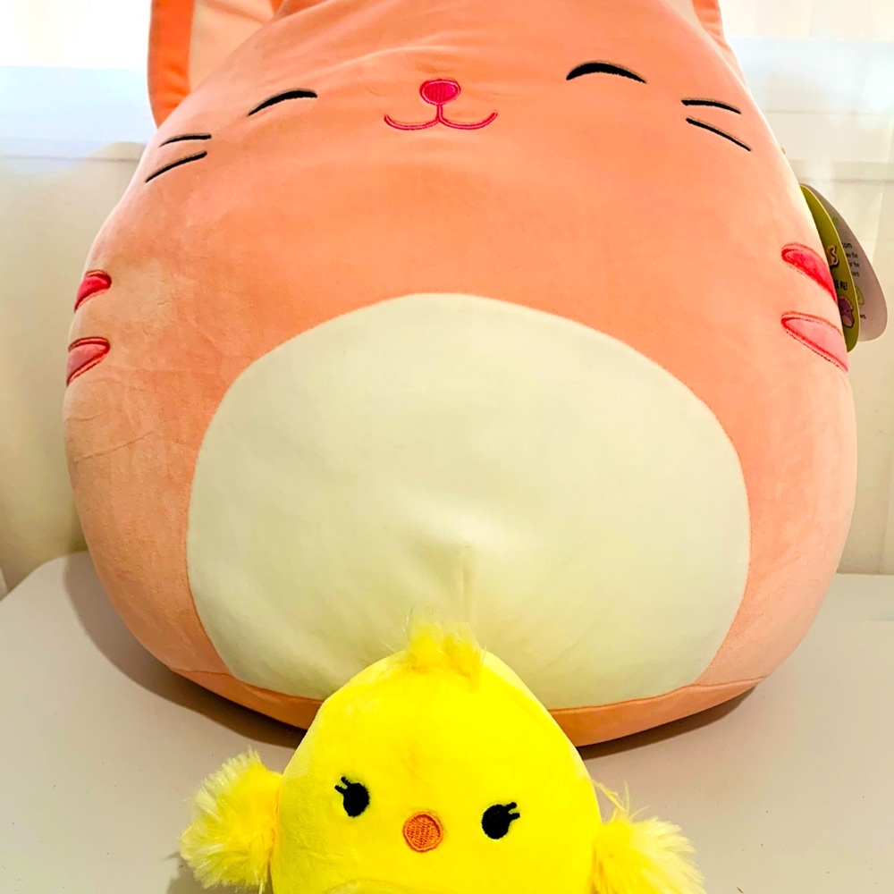 Squishmallow and Flip A Mallow